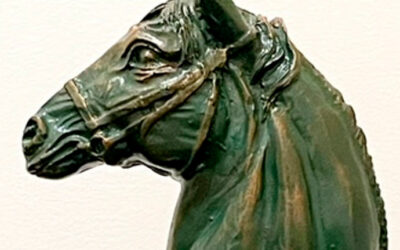 Clave de Qvadrigas – Distrito GANVAM, Sección Análisis de Tendencias